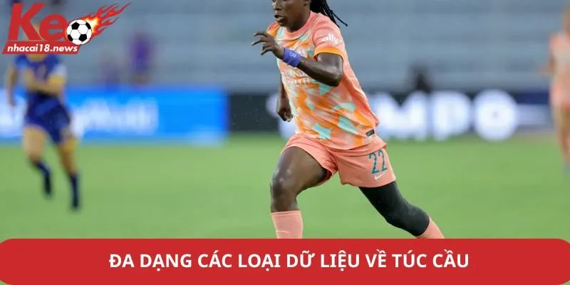 Đa dạng các loại dữ liệu về túc cầu 