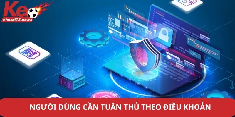Người dùng cần tuân thủ theo điều khoản